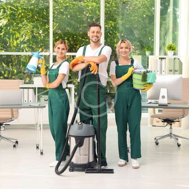 Cleaning Services Package 100